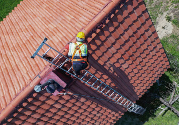 Best Roof Moss and Algae Removal  in Seattle, WA